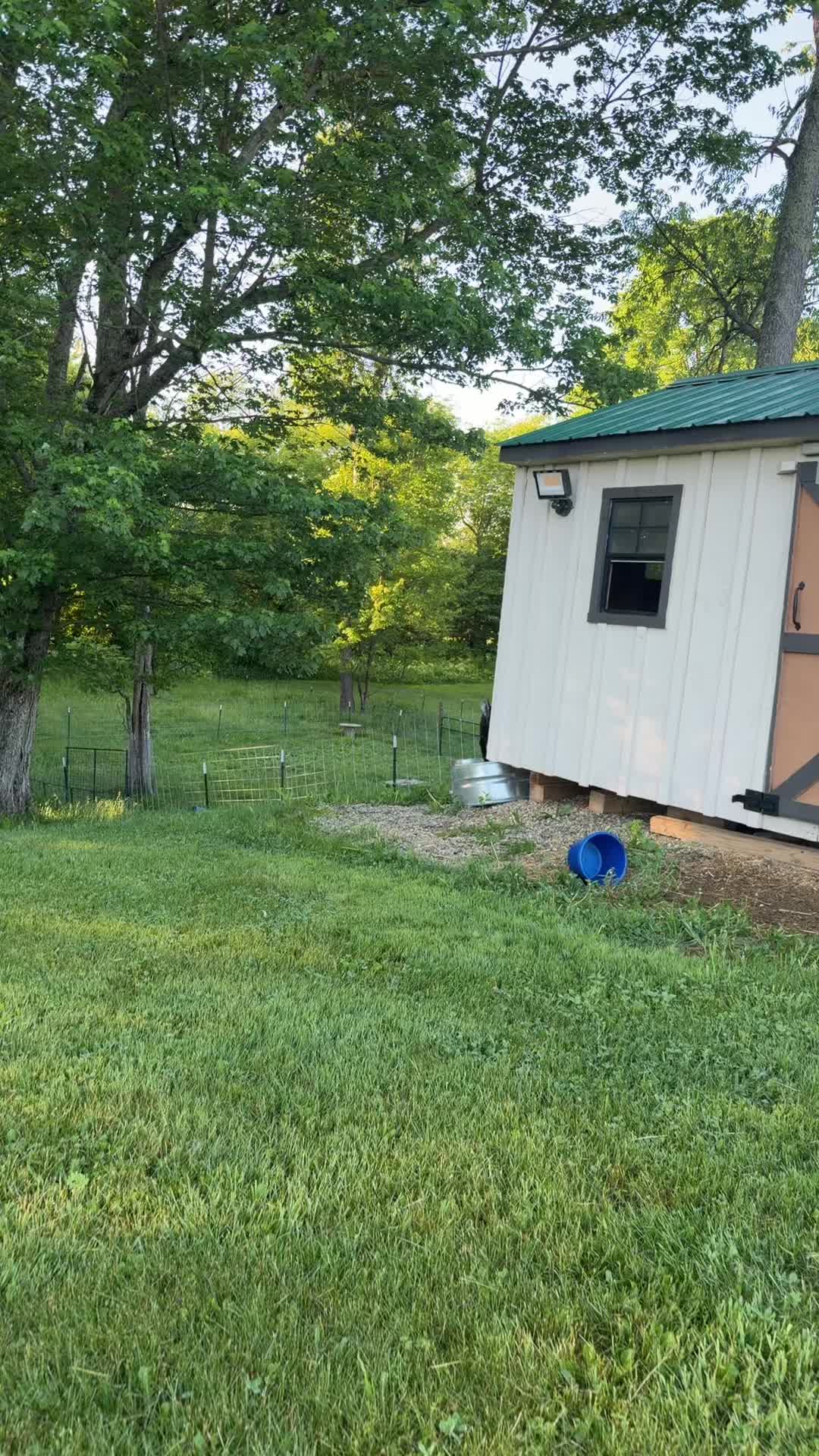 @bonnie.brook.farm