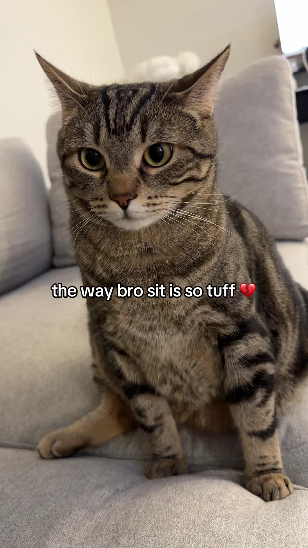 @Blawg