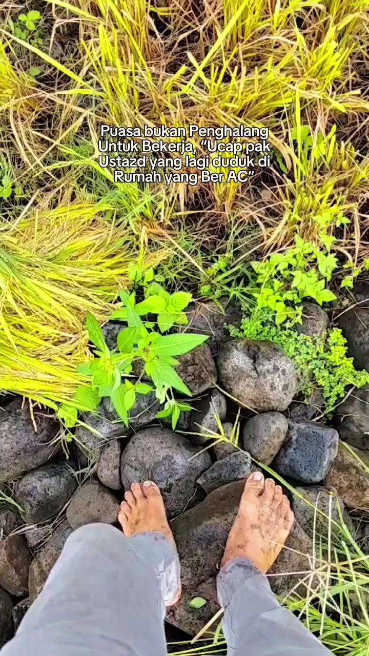 @saipulipul969