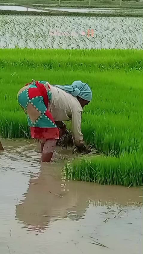 @Anishamandal012