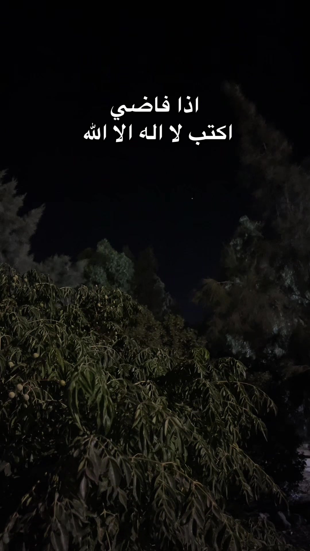 @هيـــّــآف 𓃚