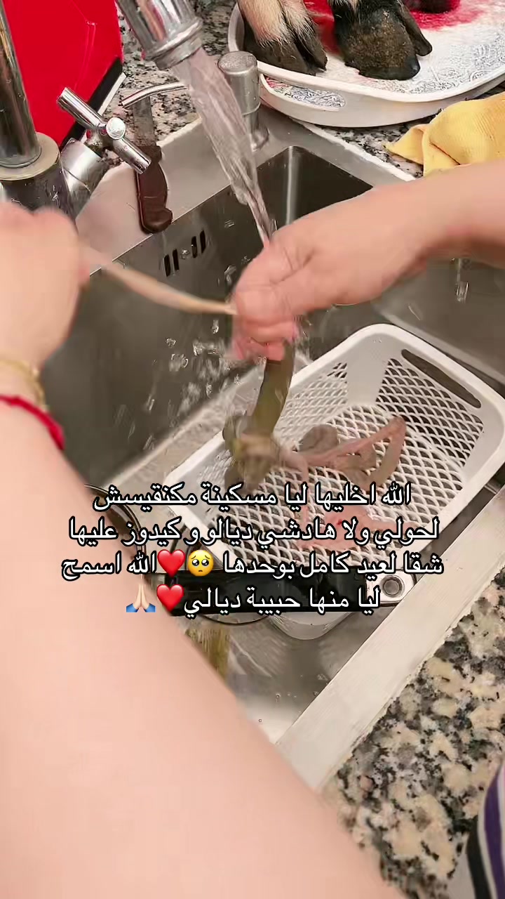 @๐ุชูููููููููููู
ููููุง๐