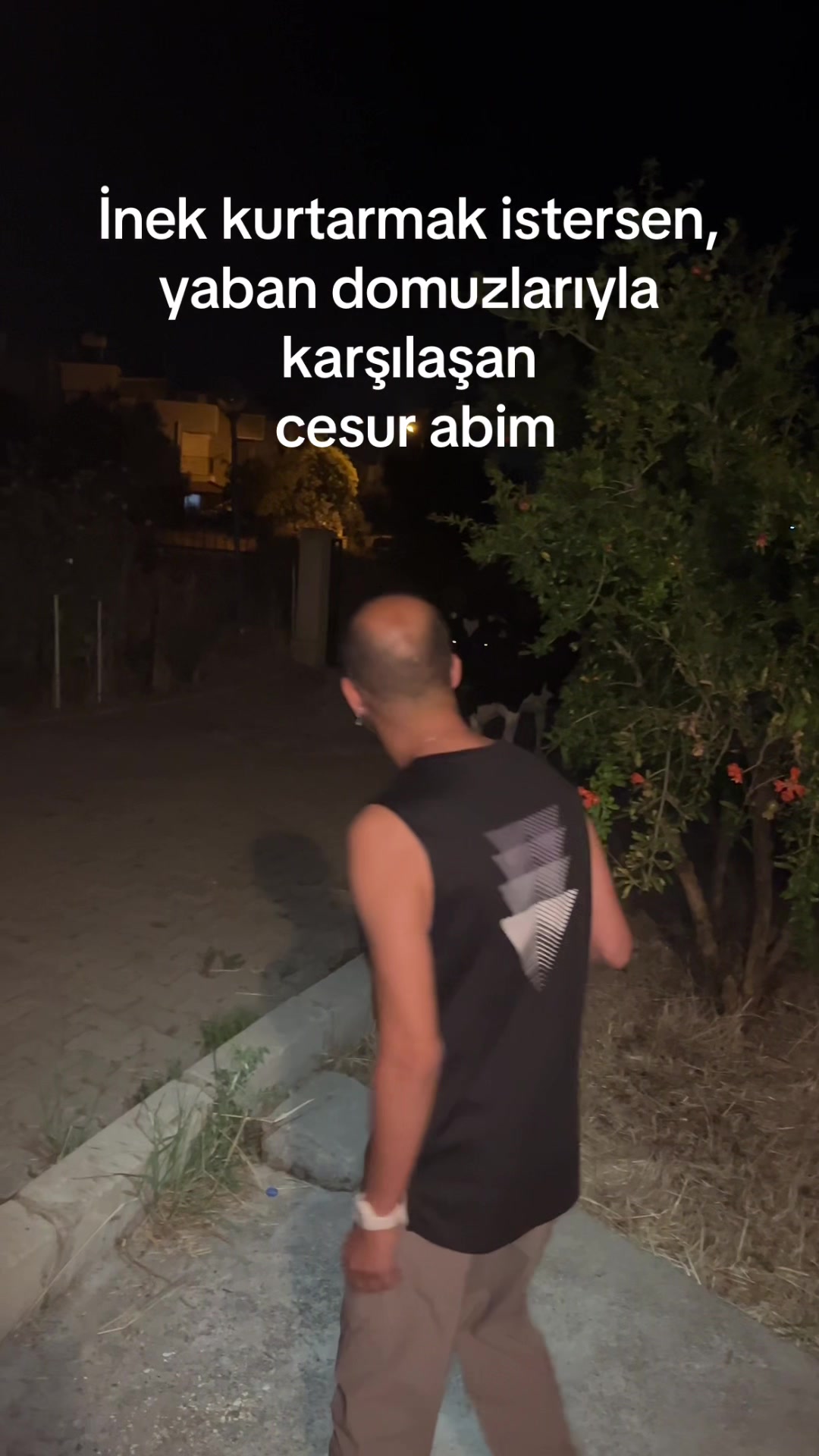 @nazlihande35