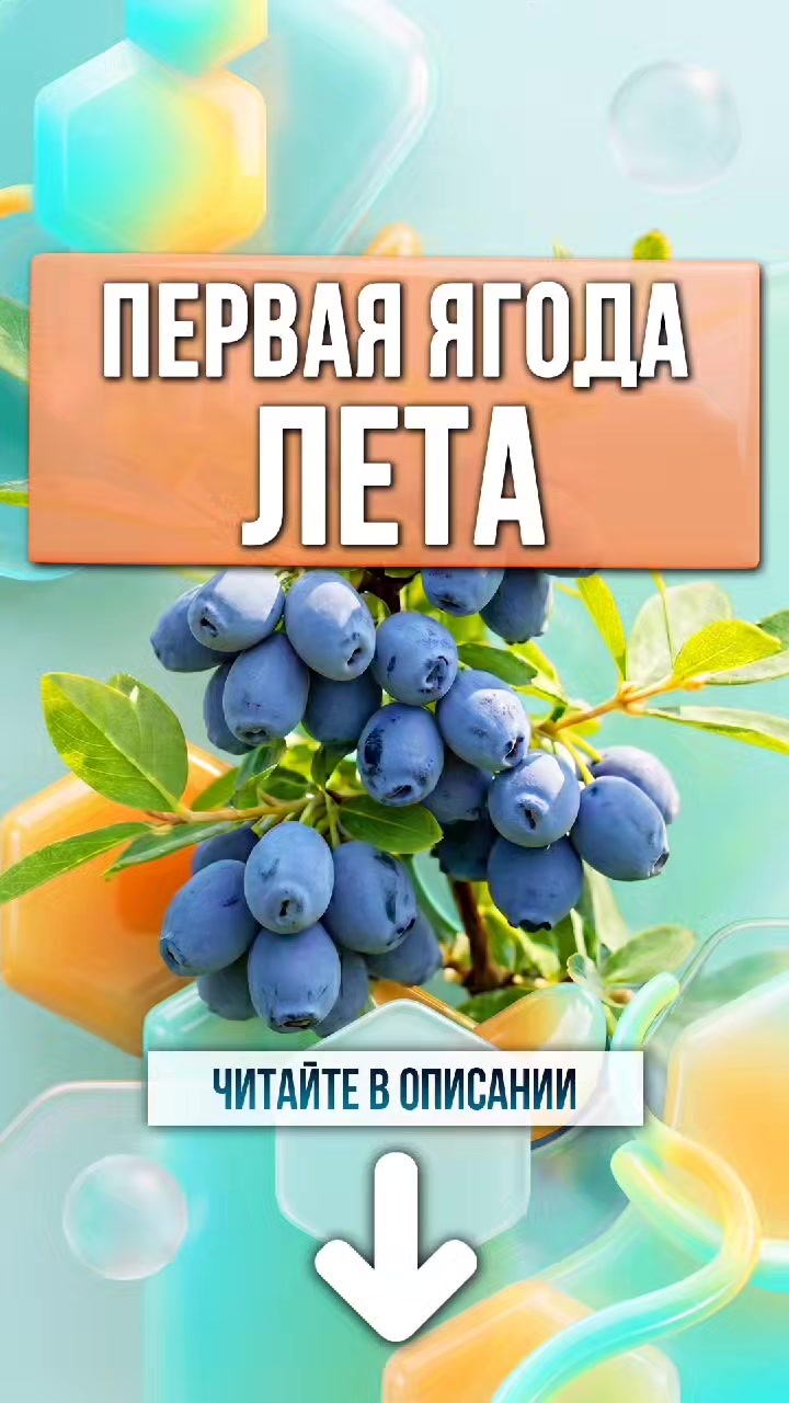 @ЗОЖнавигатор