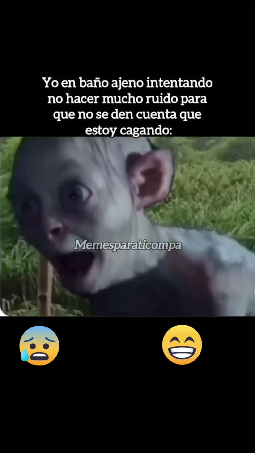 @tiocito🥸