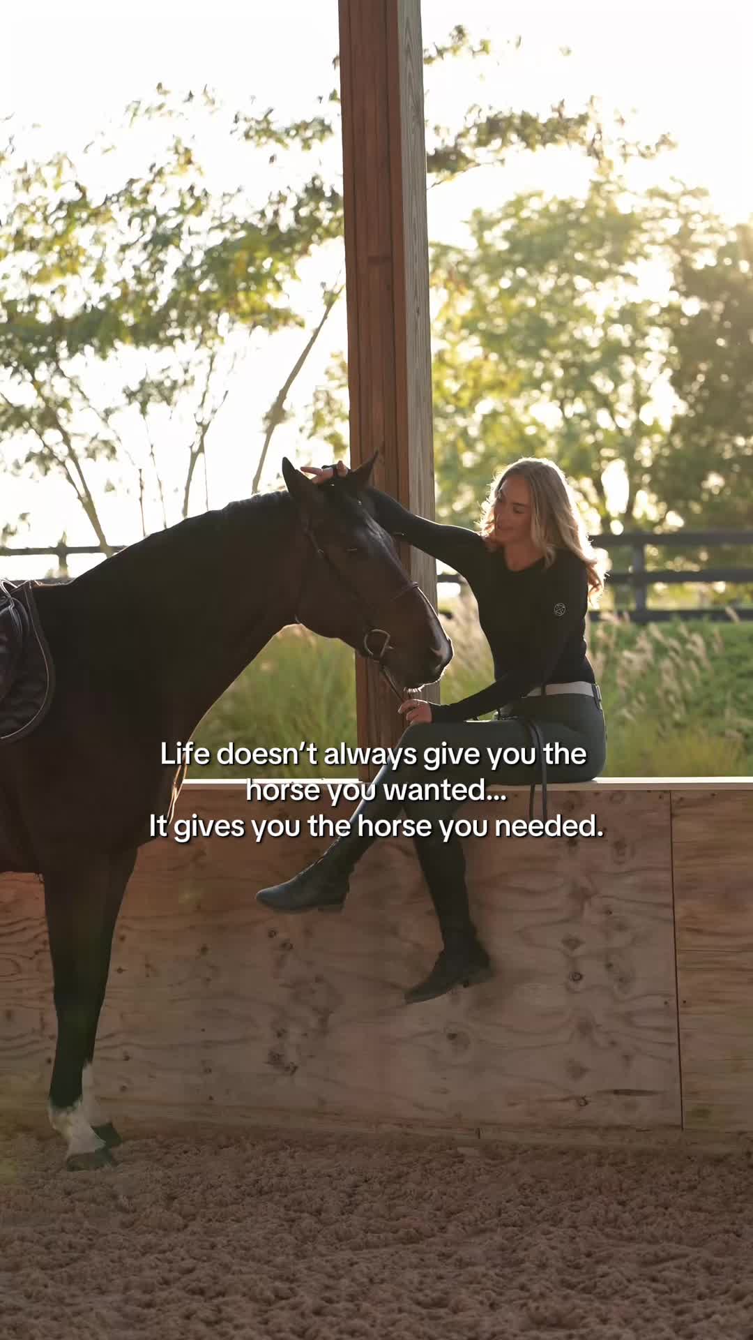 @Free Ride Equestrian