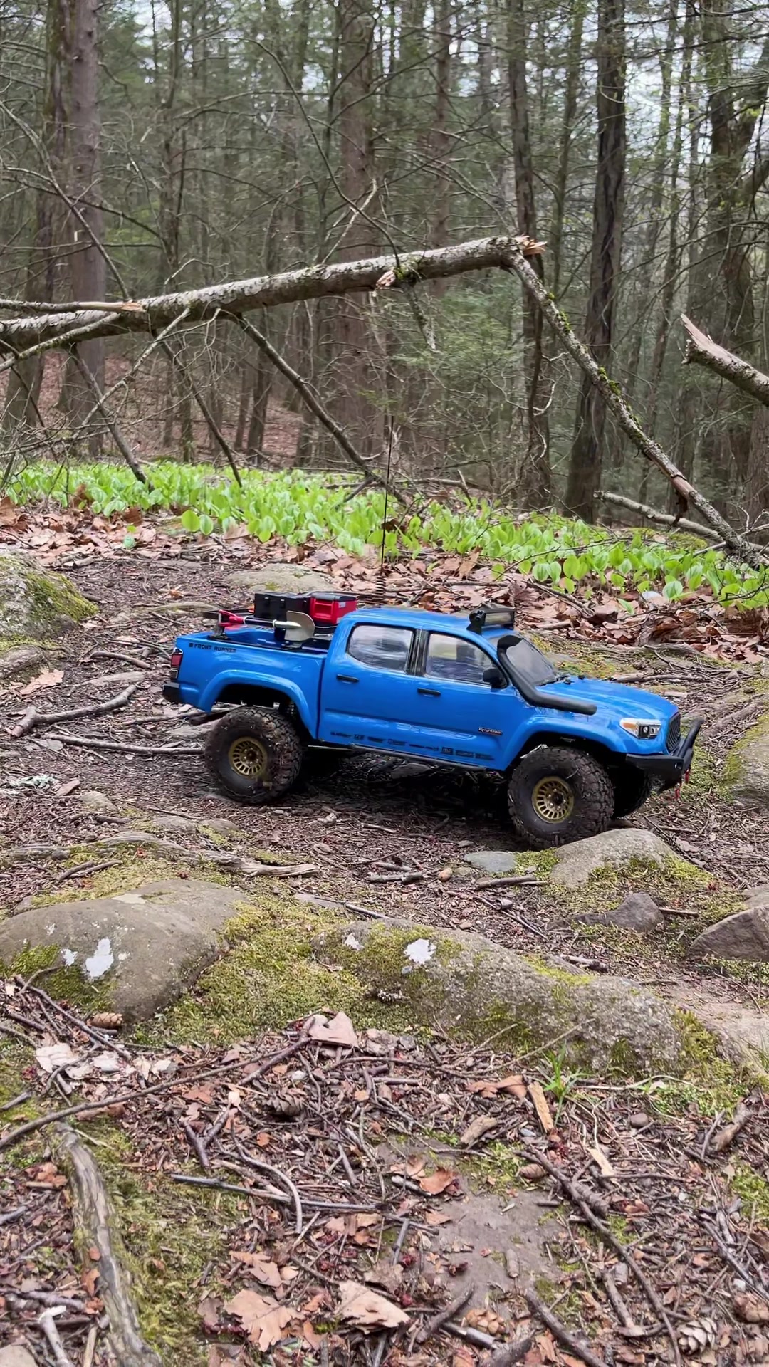 @Weekend Warrior RC