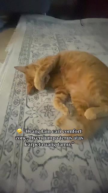 @emabakery85