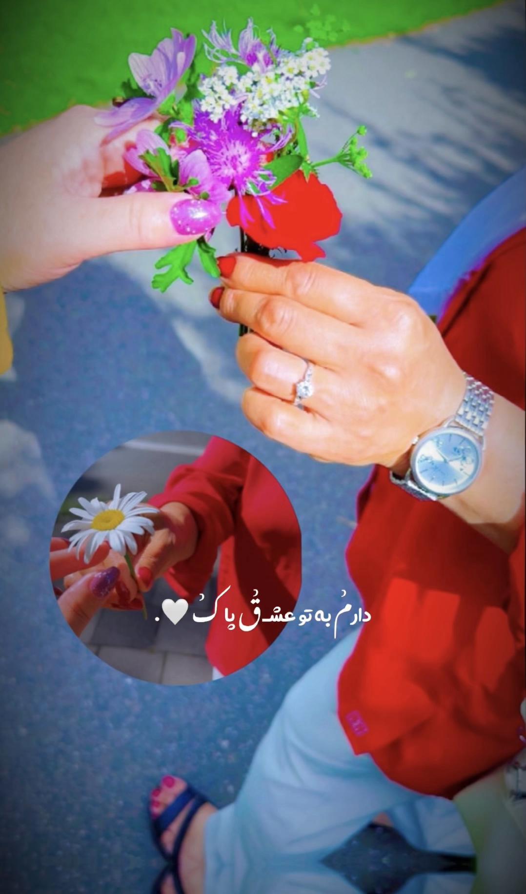 @❦❧𝑺𝒉𝒊𝒓𝒊𝒏☙❦