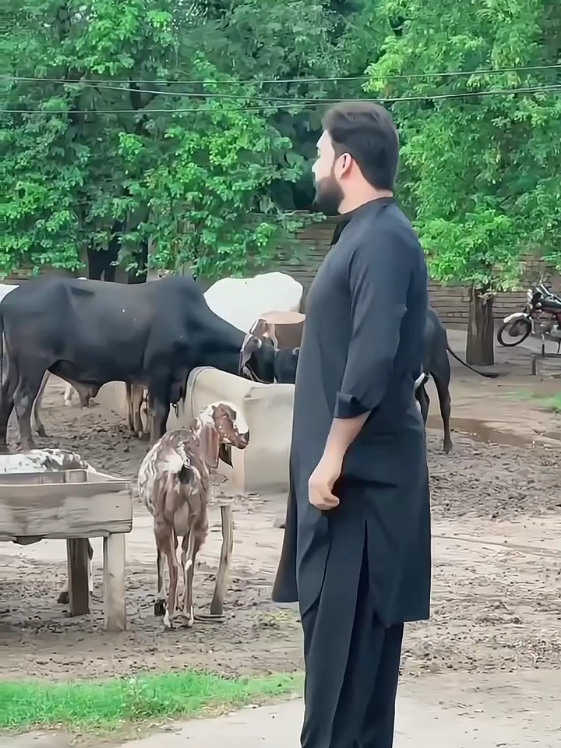 @⚜️Khan Aamir Jawad⚜️