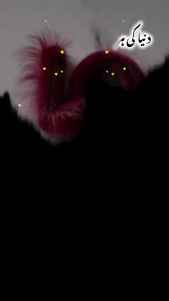 @nasirhameed424