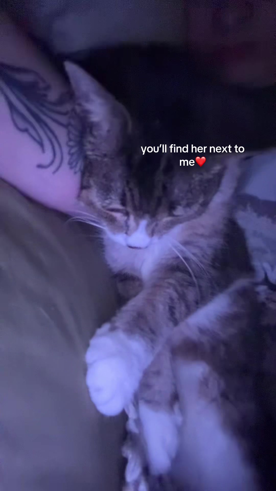 @beanbluepocketsheavy