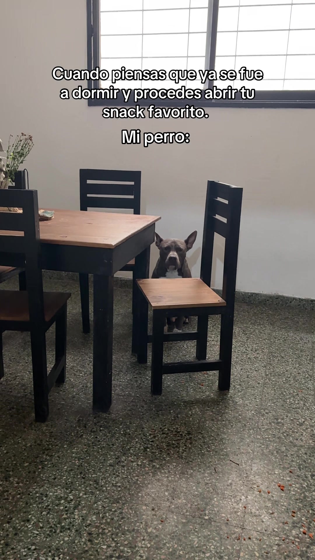 @Giulietta