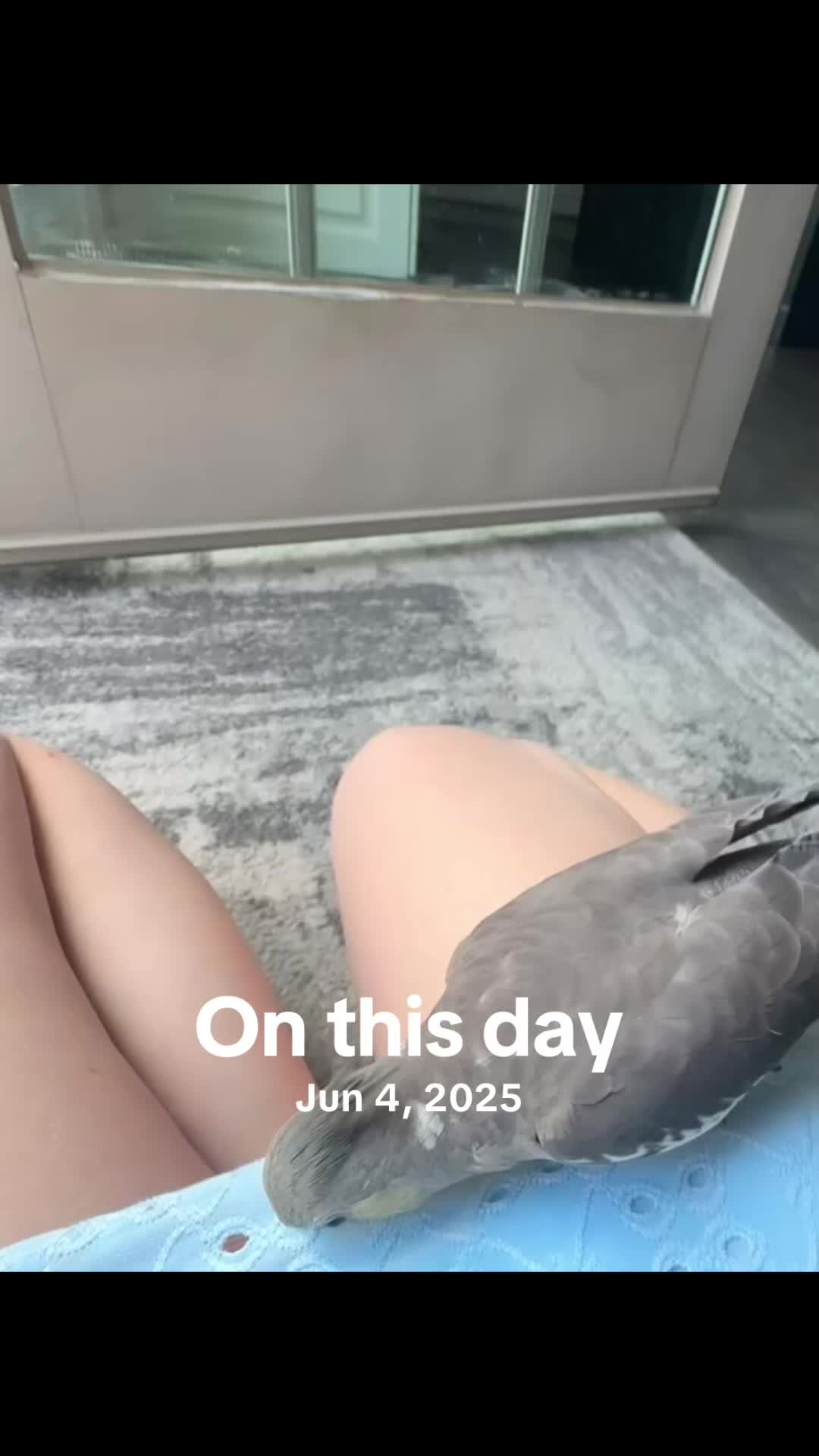 @abi sarah