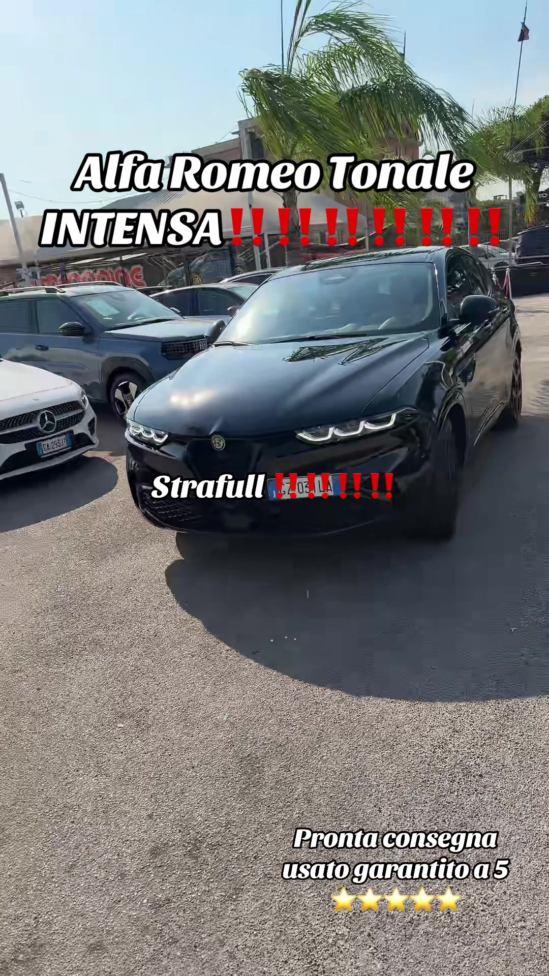 @AUTOIMMAGINE