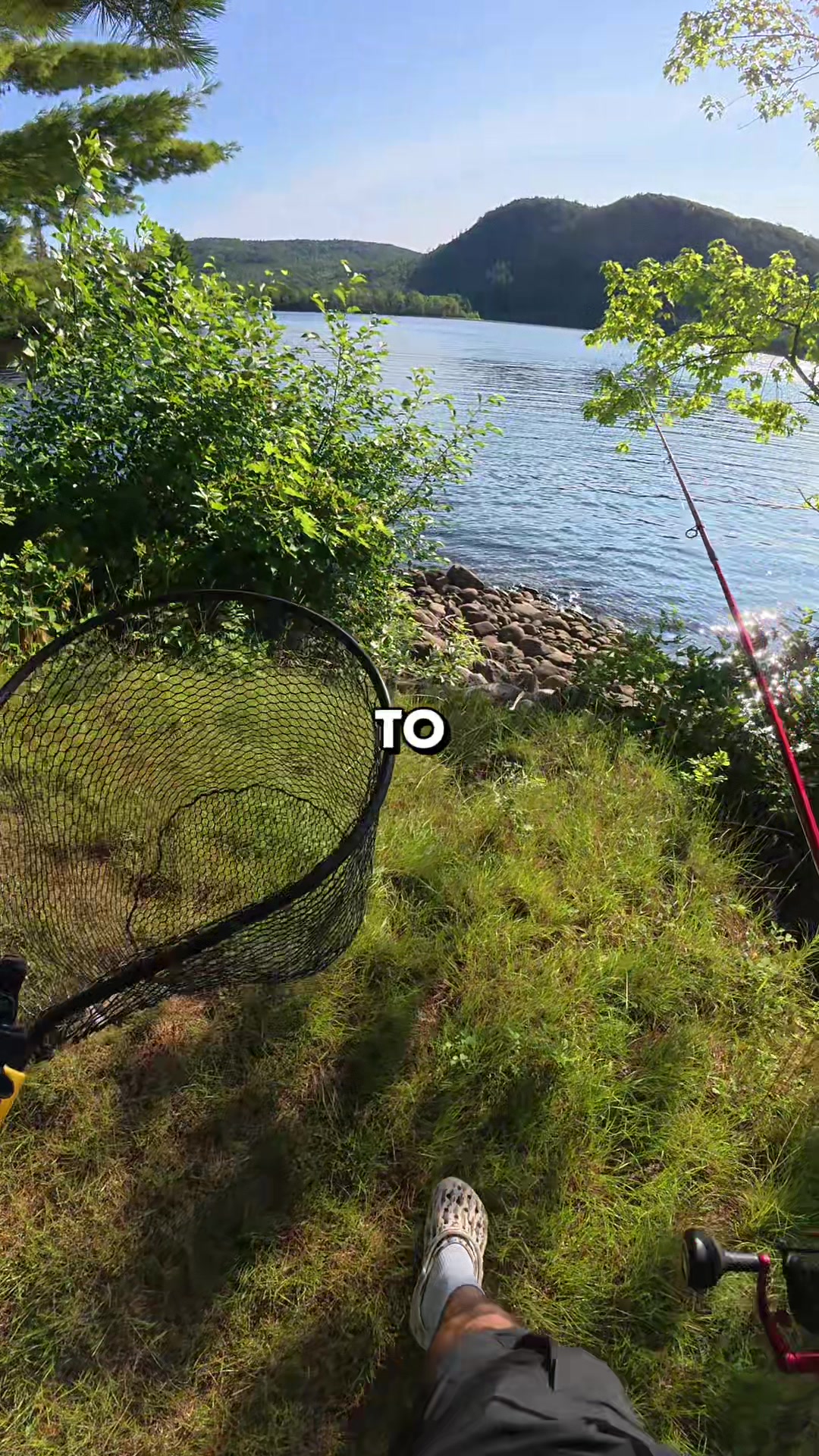 @JlangFishing