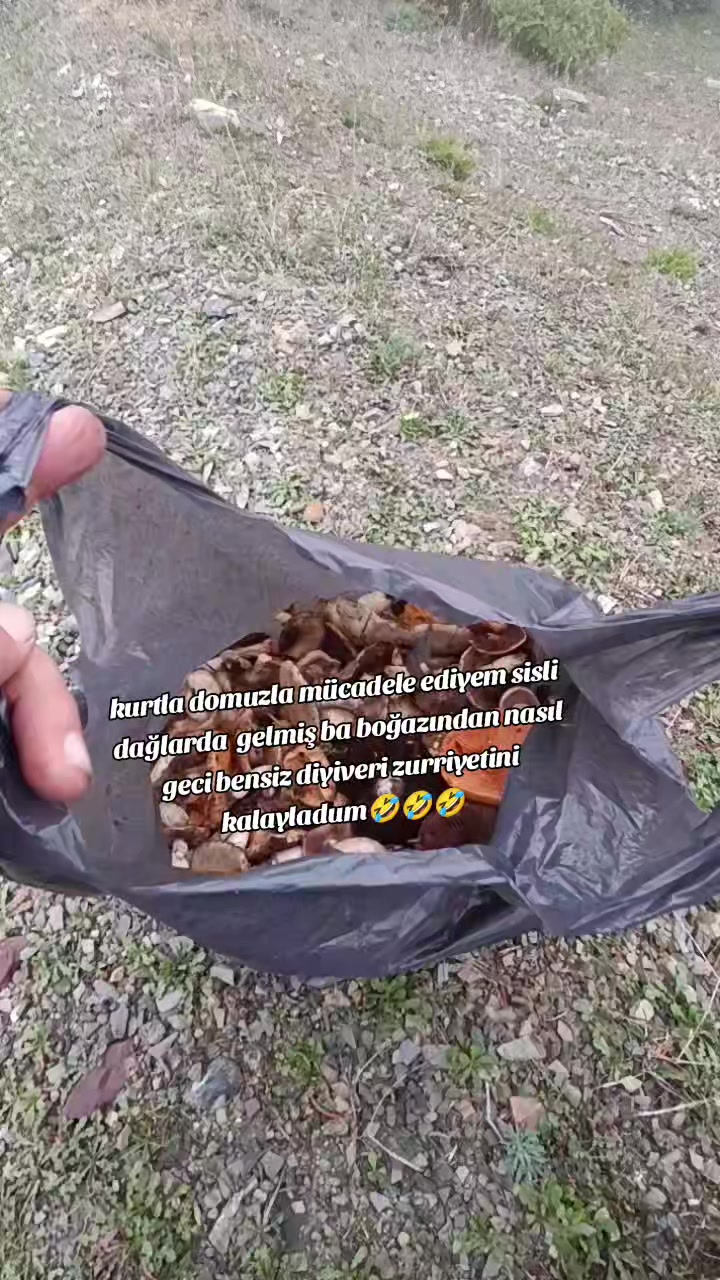 @DURSUN AKG&Uuml;L55