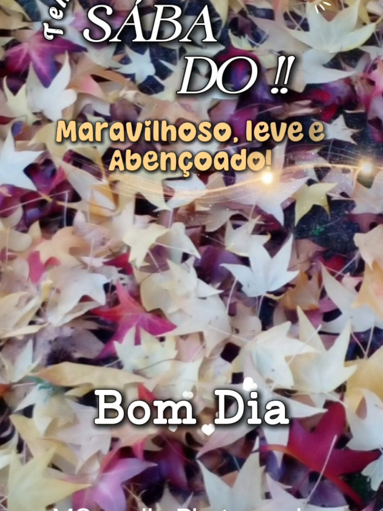 @Miguel Carvalho.