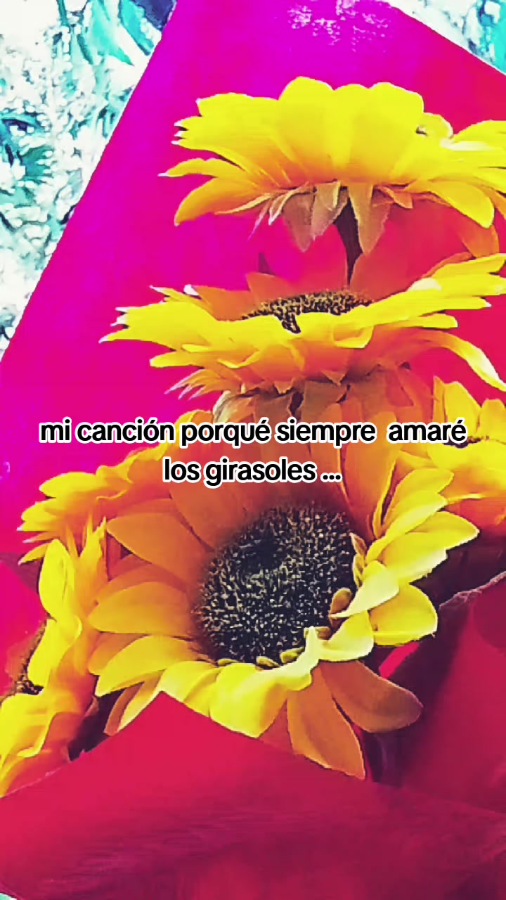 @🖤🌻