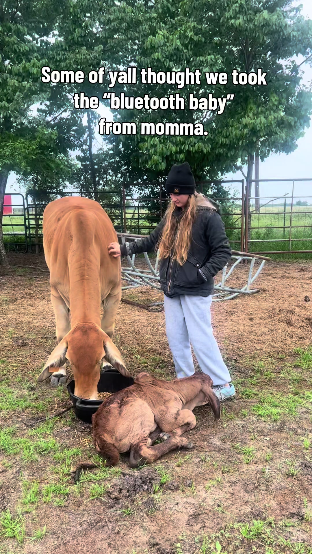 @The V6 Ranch