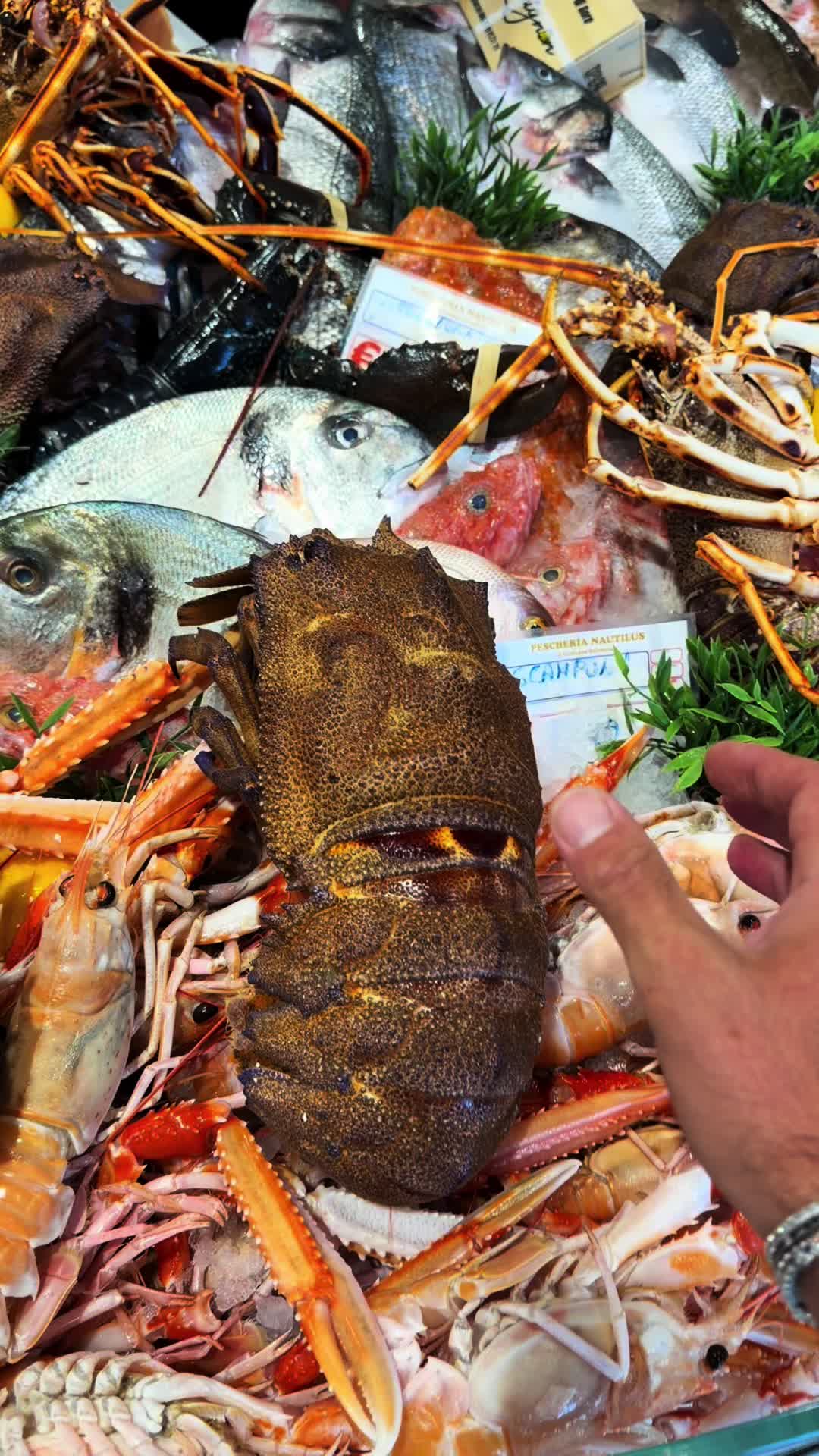 @Pescheria nautilus ostuni