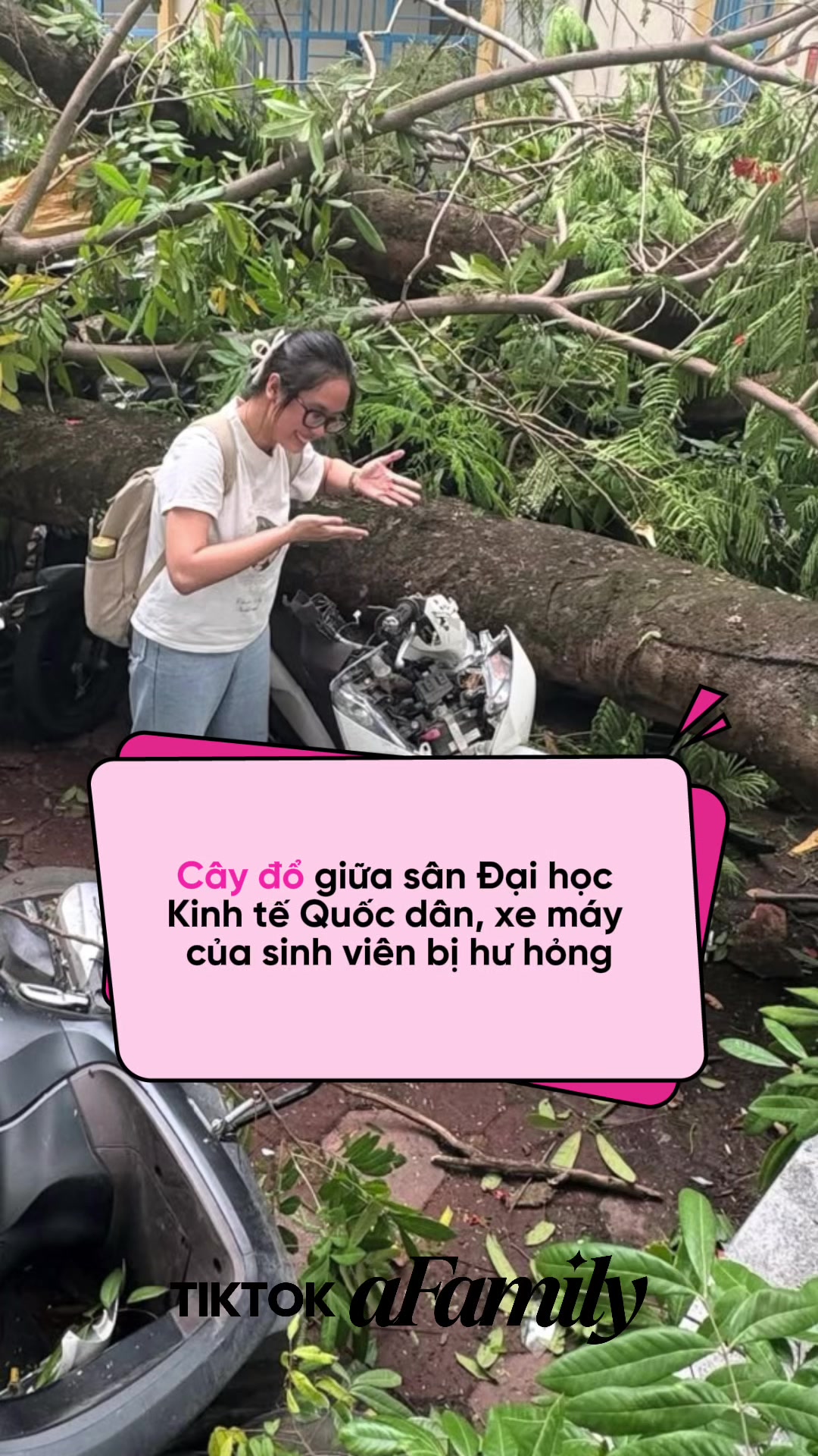 @aFamily Ngay L&uacute;c N&agrave;y