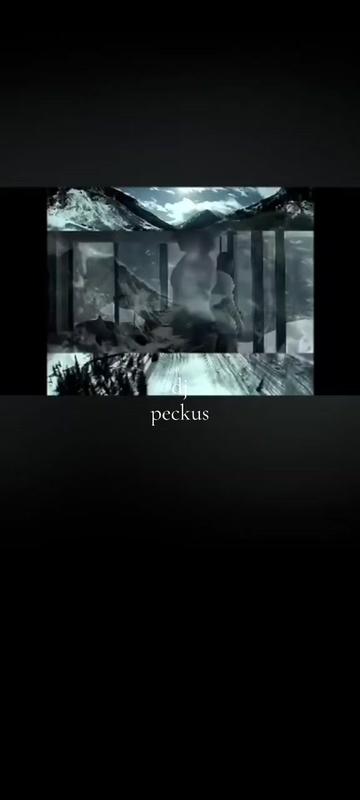 @peckus_jam_rock