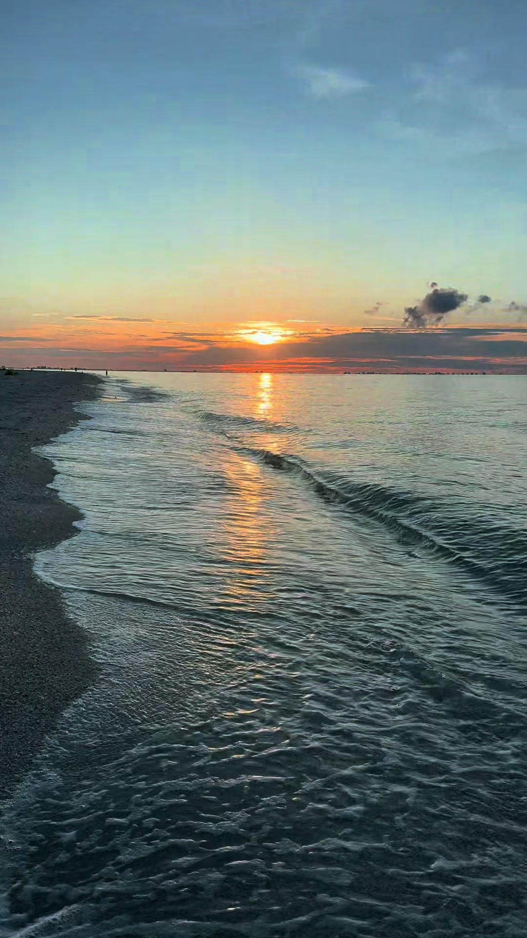 @Southwest Florida Shelling
