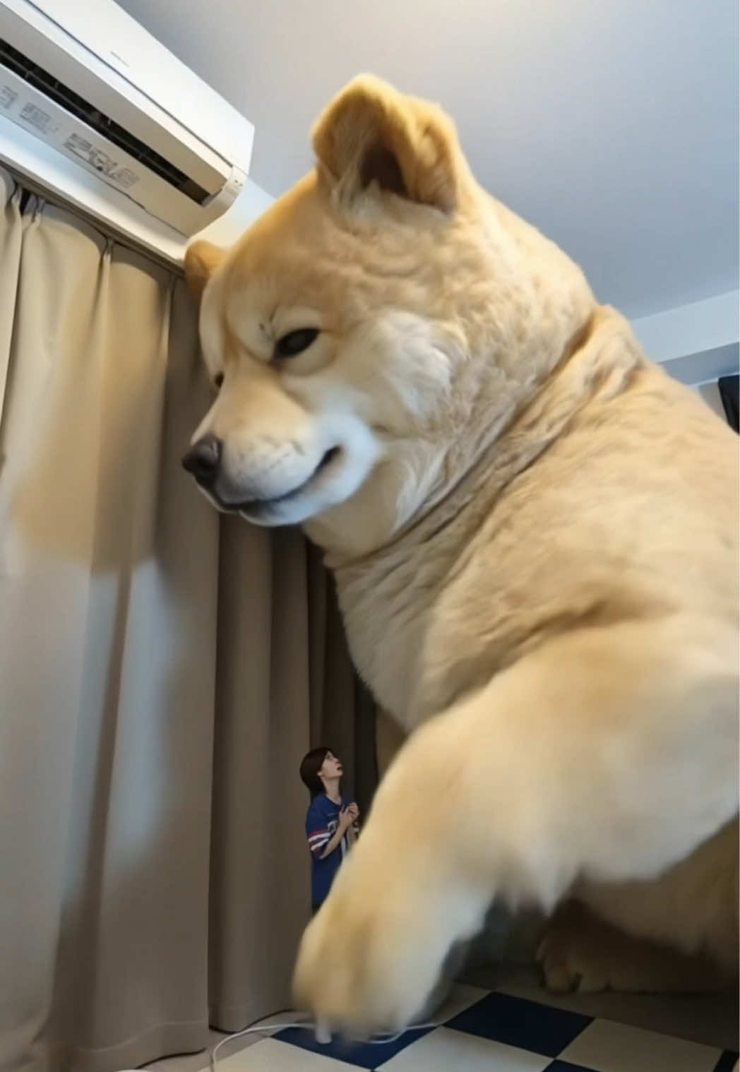 @パンナコタ🌶🔥