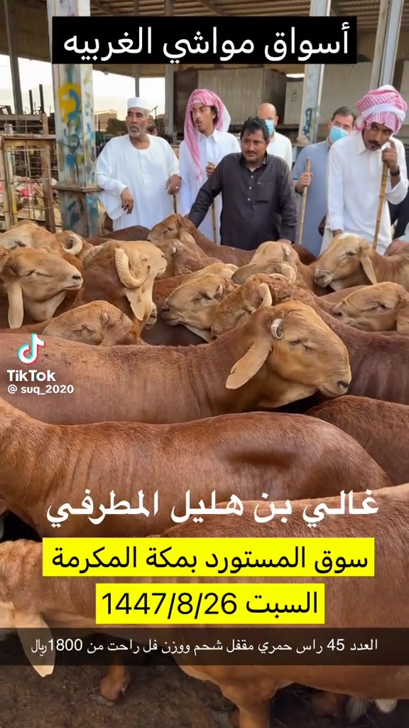 @mohamed_ksa0