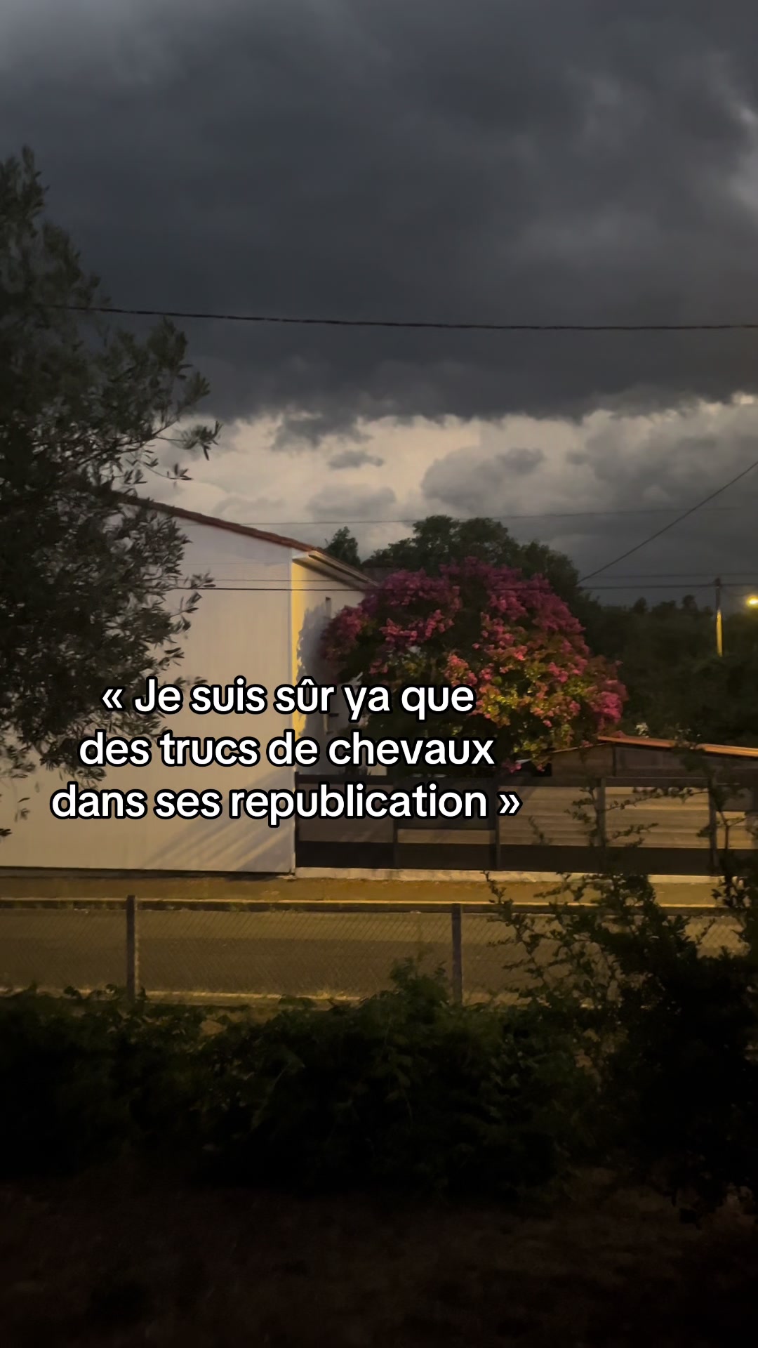 @🎀•𝒥ℴ𝓎•🎀