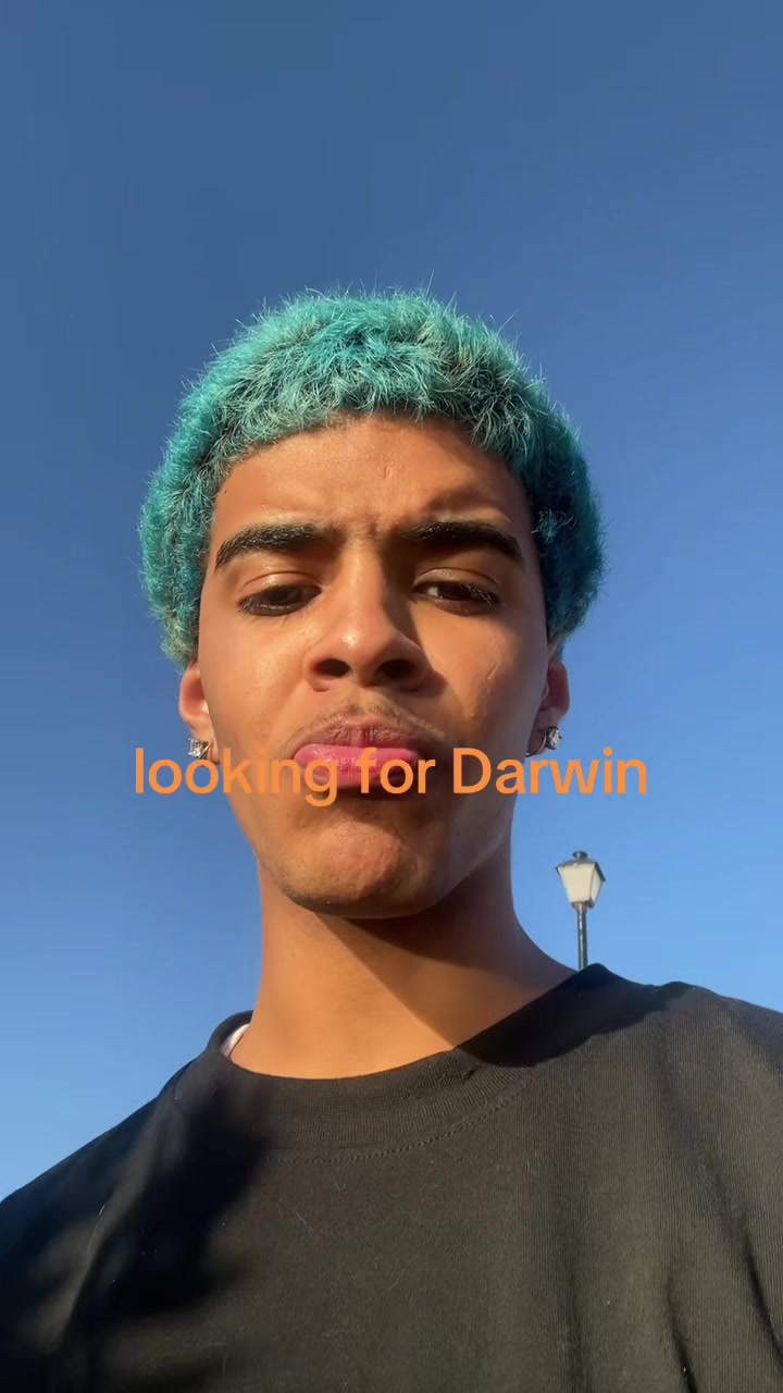@solpuke