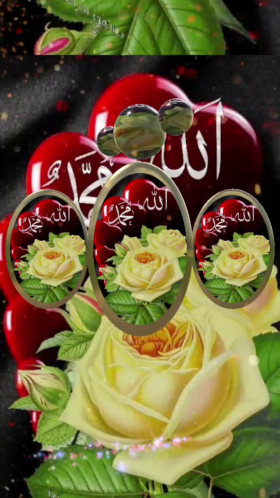 @Hina Malik
