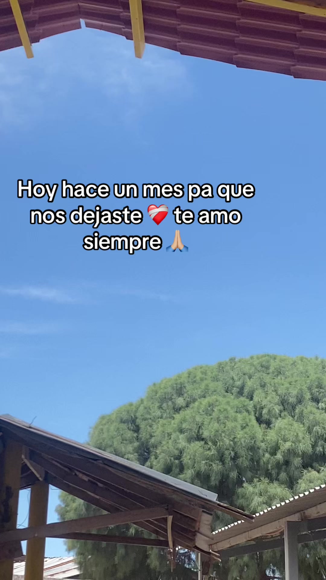 @❤️🍔Yari Brillitos🩷✨