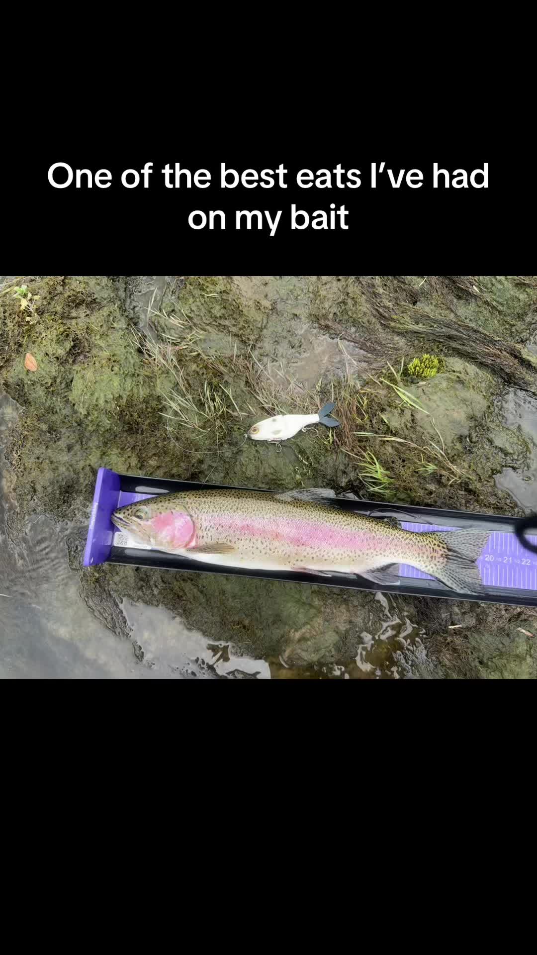 @River Born Baits