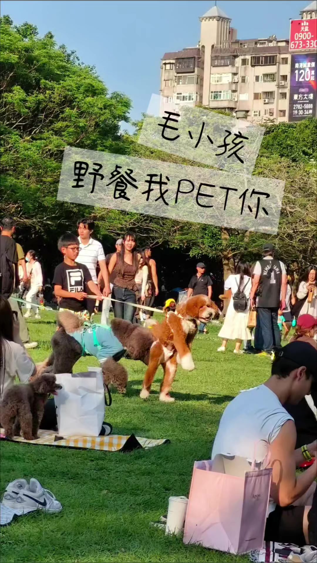 @用户2247762411571