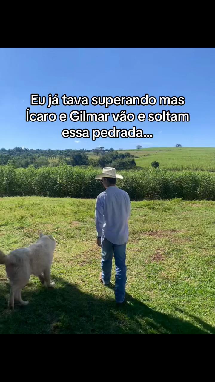 @joão sanches