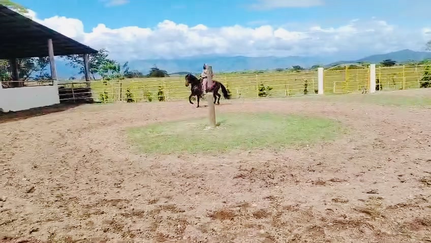 @Caballo loco 77