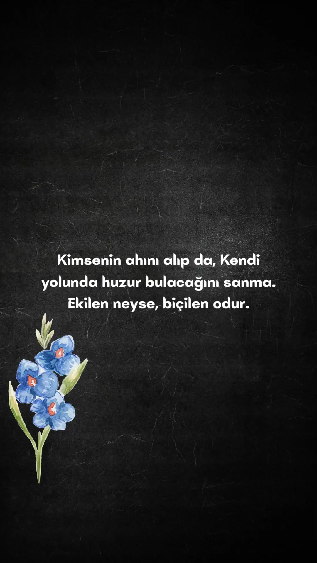 @S&Ouml;ZL