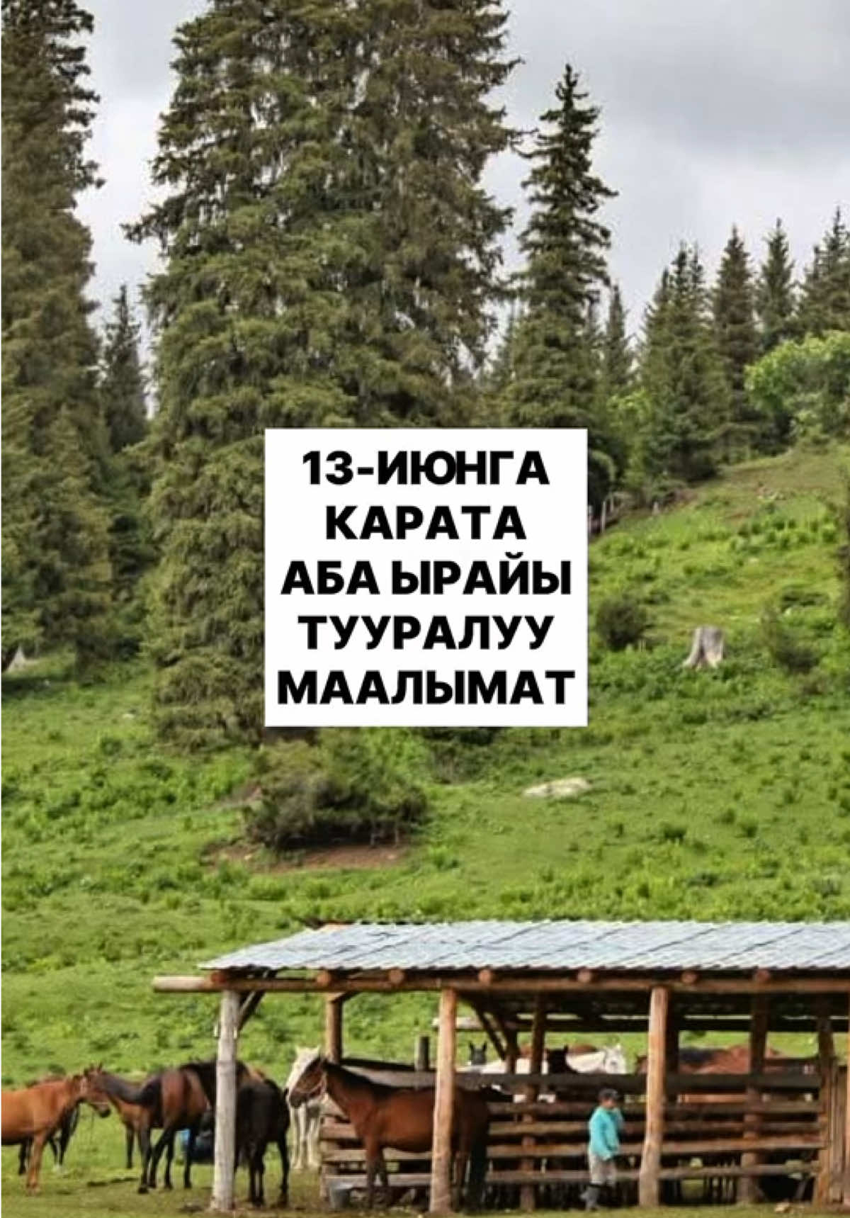 @politklinika