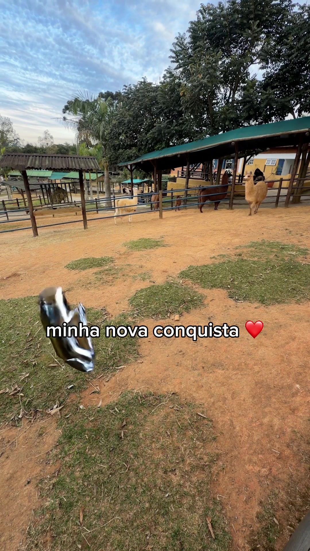 @Caiox