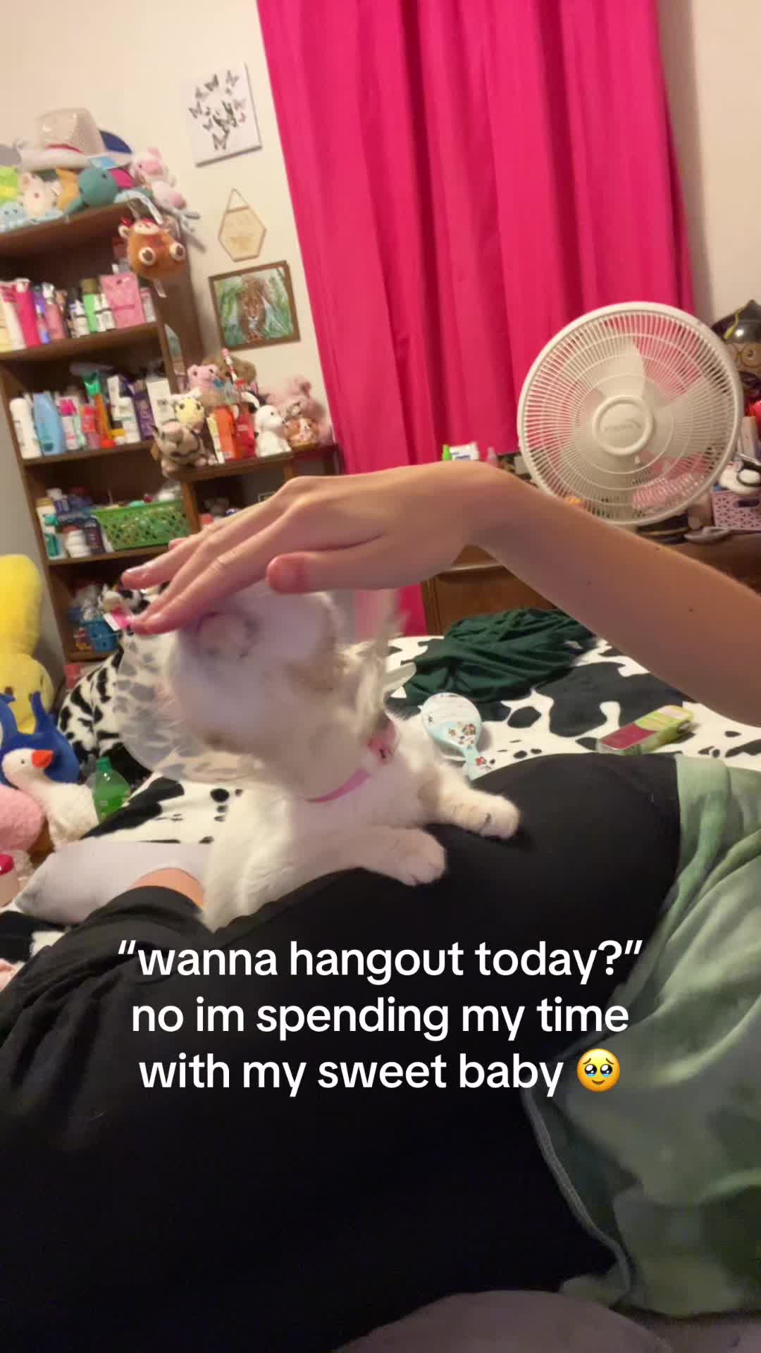 @Lizzy 🥱