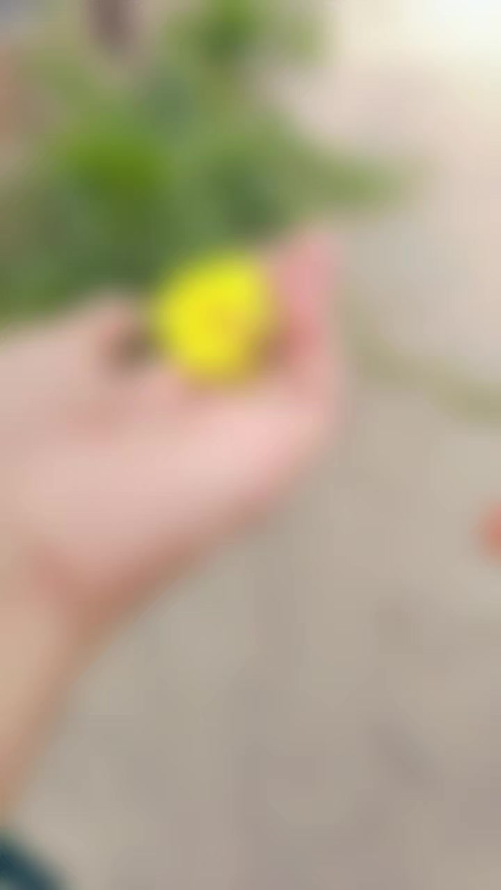 @&hearts;️🌟🌺Mano shehzadii🌟🌺&hearts;️