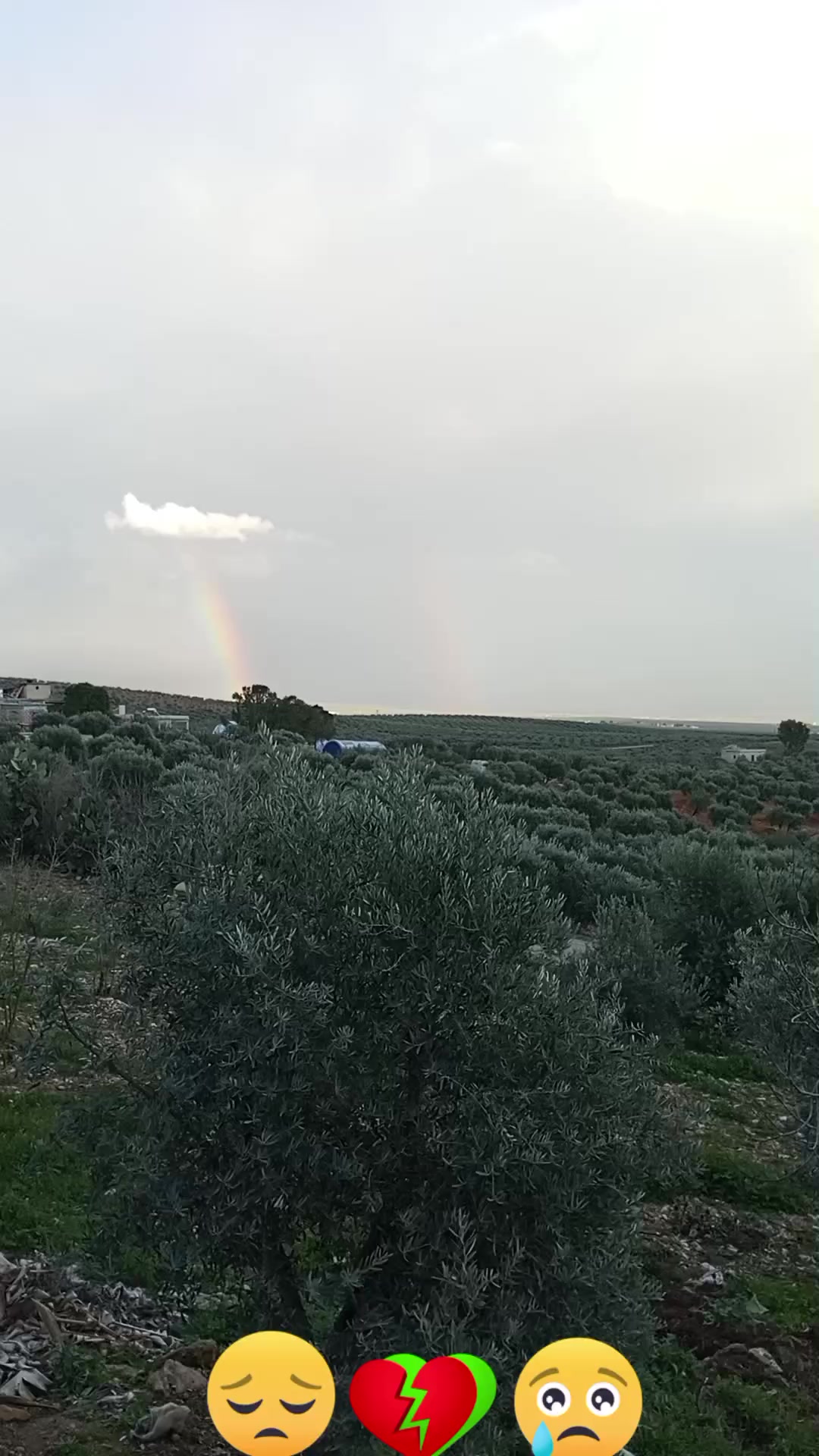@رونيارا عفريني