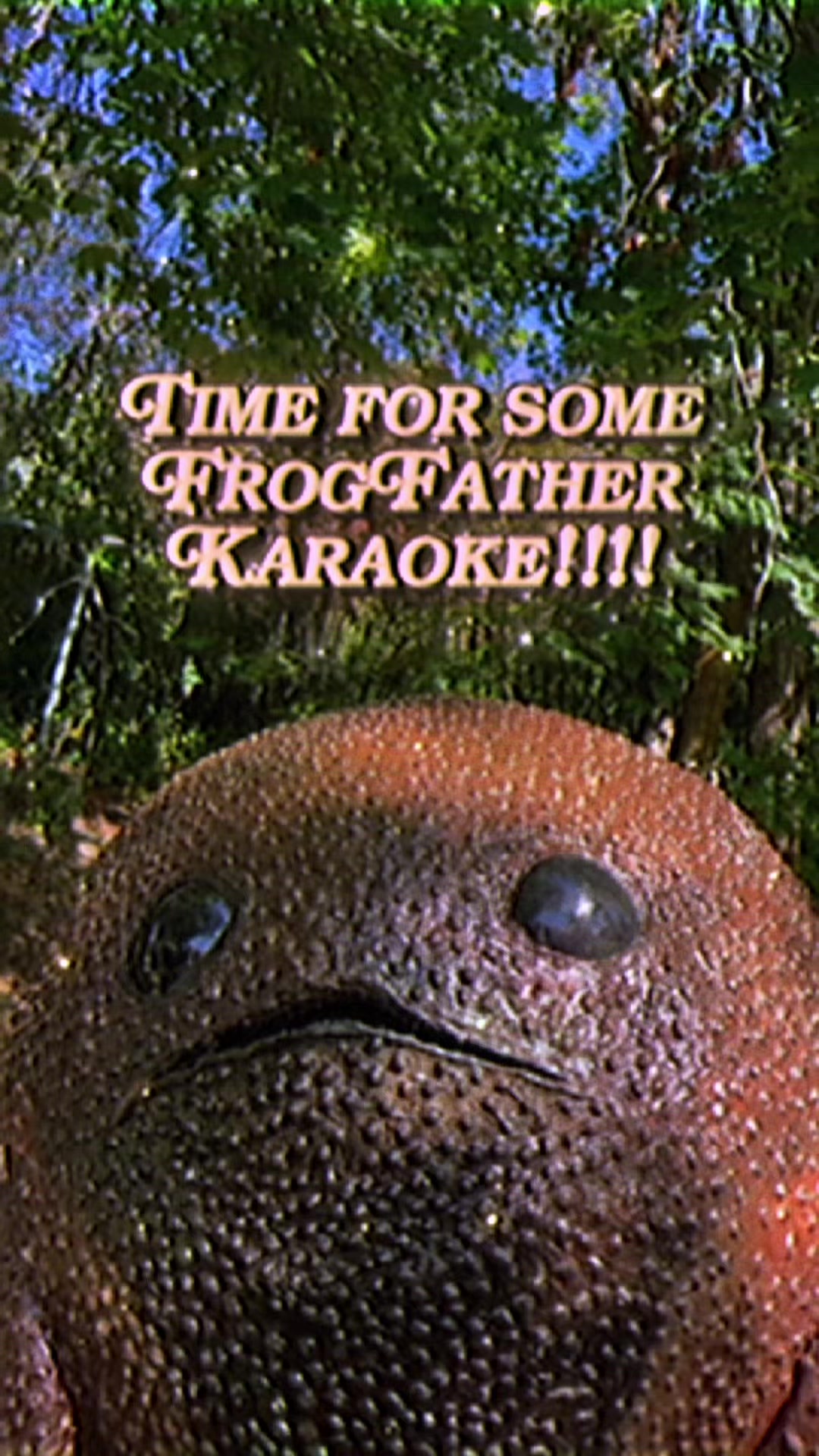 @Holy Frog Father