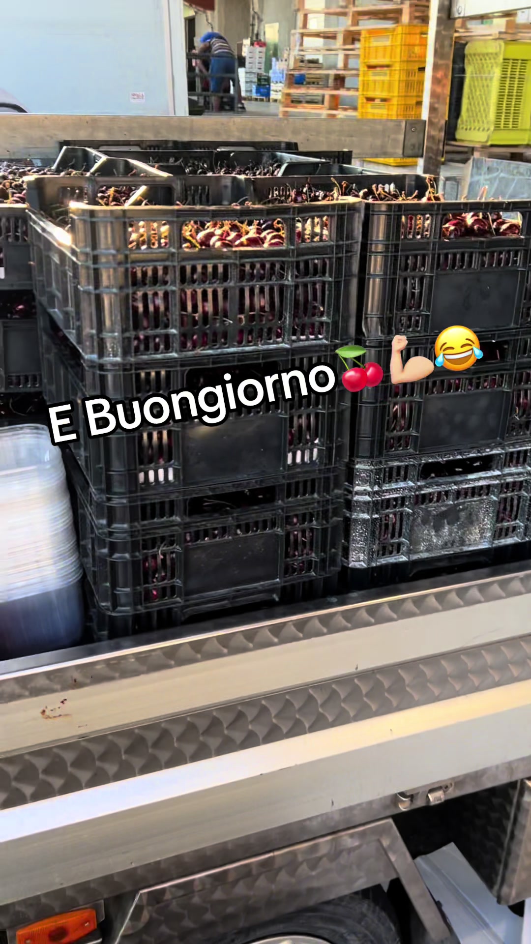 @francesco_costanzo7๐ฅ