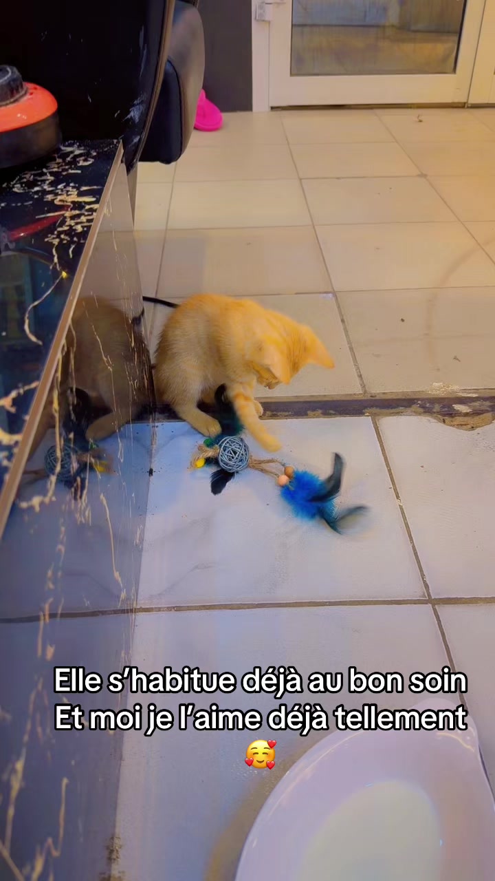 @Le bon soin