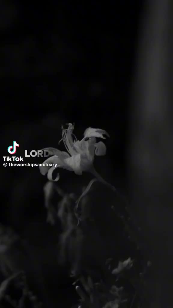 @❤Tara Nicole❤