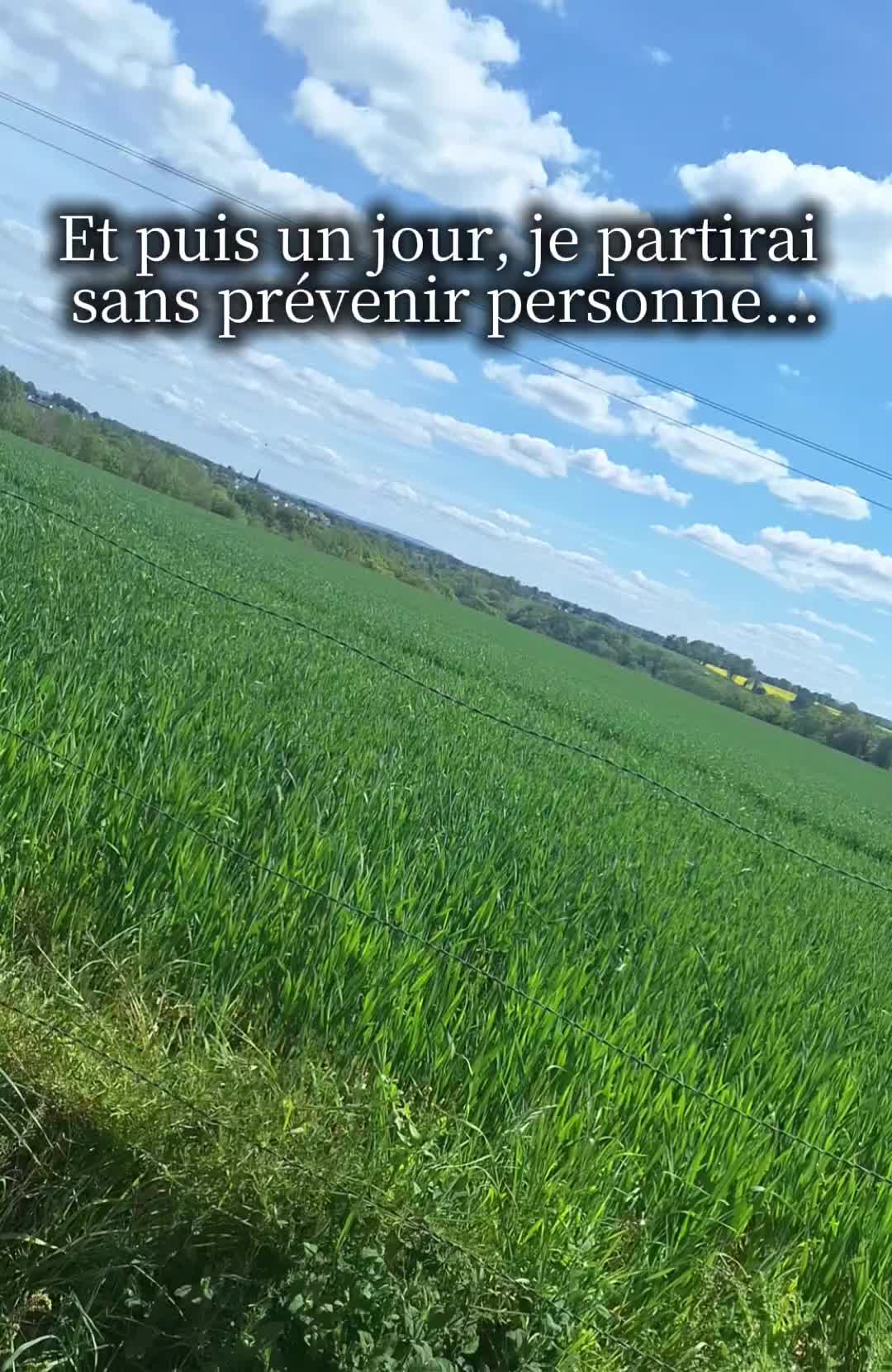 @฿Ⱡ₳₵₭₣łⱤɆ🔥🇫🇷
