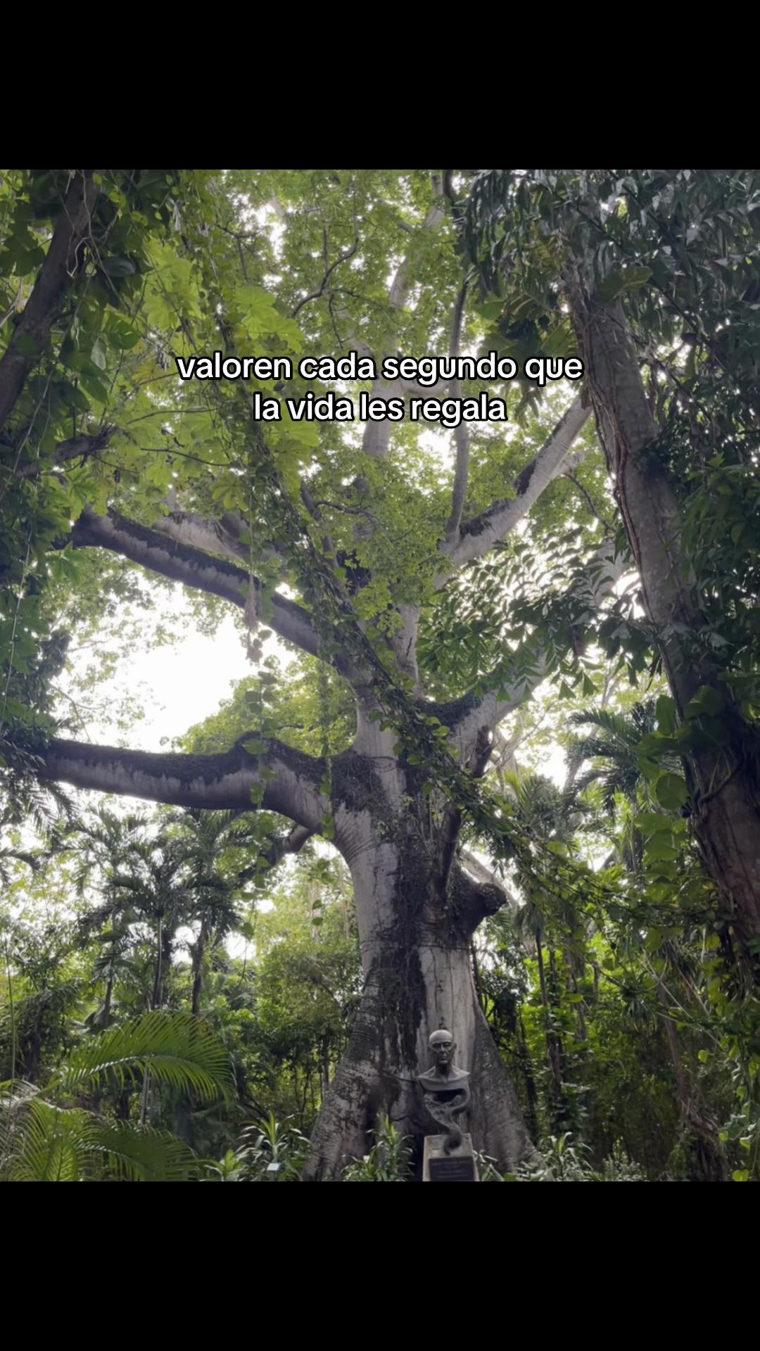 @Tere🌺